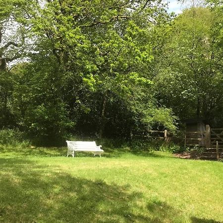 Peaceful Cottage, Close To Coast & Moor Parracombe Экстерьер фото